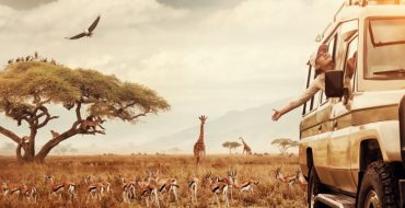 Mediation and the Safari Guide